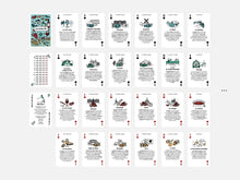 Charger l'image dans la galerie, Cartes Vin 🍷