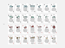 Charger l'image dans la galerie, Pack "Sommelier" (1x Cartes CĂ©pages đ + 1x Cartes Vinđ·)